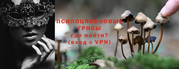 прущие грибы Няндома