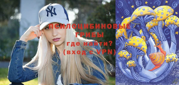 apvp Алзамай