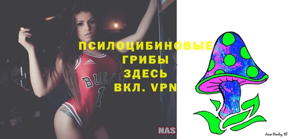 apvp Алзамай