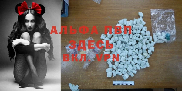 apvp Алзамай